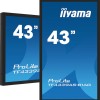 Iiyama Prolite Public Display LED 43