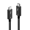 Lindy Thunderbolt 4 Cable 100W Μαύρο 2m (31121)