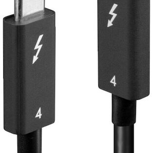 Lindy Thunderbolt 4 Cable 100W Μαύρο 2m (31121)