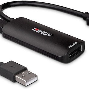 Lindy Μετατροπέας HDMI male σε DisplayPort female (38327)