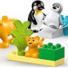 Lego Duplo Wild Animal Families: Penguins & Lions για 2+ Ετών 10τμχ