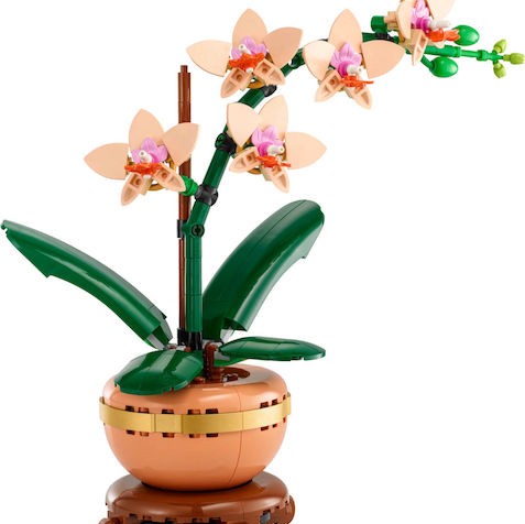Lego Botanical Collection Mini Orchid για 18+ Ετών 274τμχ