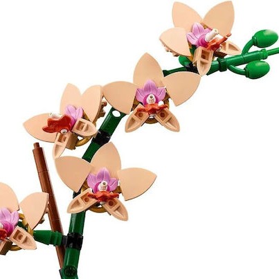 Lego Botanical Collection Mini Orchid για 18+ Ετών 274τμχ
