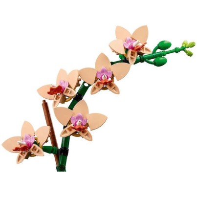 Lego Botanical Collection Mini Orchid για 18+ Ετών 274τμχ