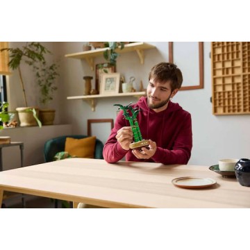 Lego Botanical Collection Lucky Bamboo για 18+ Ετών 325τμχ