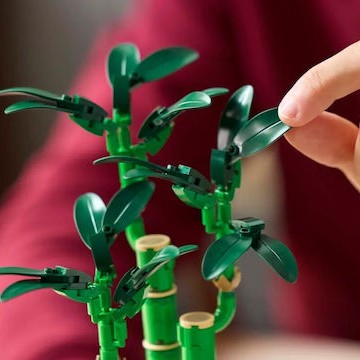 Lego Botanical Collection Lucky Bamboo για 18+ Ετών 325τμχ