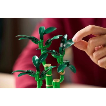 Lego Botanical Collection Lucky Bamboo για 18+ Ετών 325τμχ