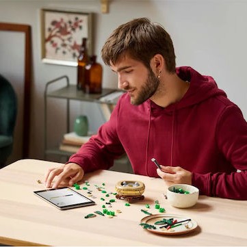 Lego Botanical Collection Lucky Bamboo για 18+ Ετών 325τμχ