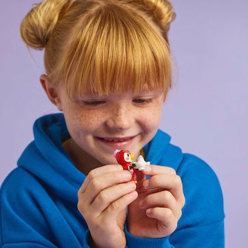 Lego Animal Crossing Animal Crossing Stargazing with Celeste για 6+ Ετών 78τμχ