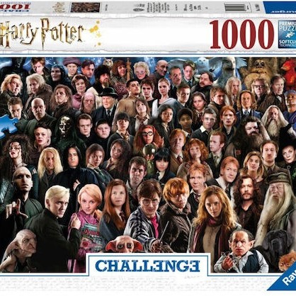 Challenge Puzzle 2D 1000 Κομμάτια