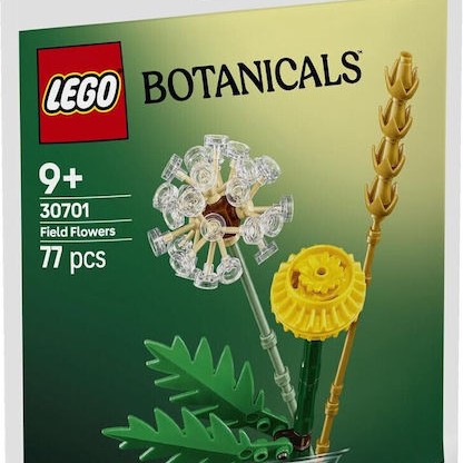 Lego Creator Field Flowers για 9+ Ετών 77τμχ