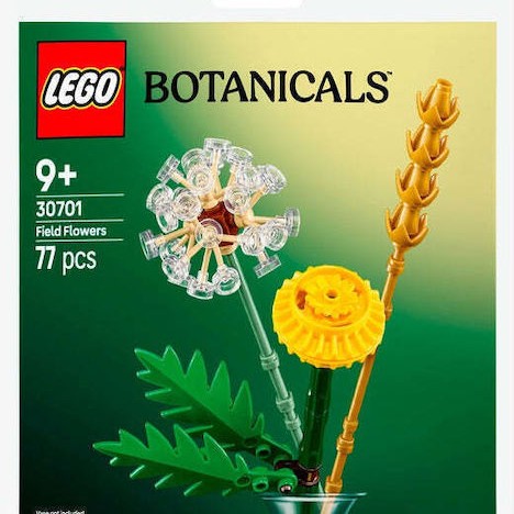 Lego Creator Field Flowers για 9+ Ετών 77τμχ