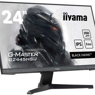 Iiyama G-MASTER IPS Monitor 24