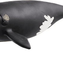 Schleich-S Παιχνίδι Μινιατούρα North Atlantic Right Whale για 3+ Ετών 19εκ.