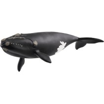 Schleich-S Παιχνίδι Μινιατούρα North Atlantic Right Whale για 3+ Ετών 19εκ.