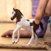 Slh Paint Horse Foal 14899 70451