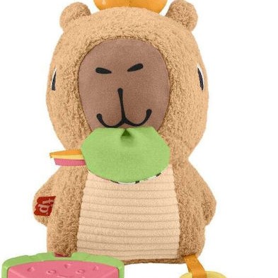 Fisher Price Βρεφικό Παιχνίδι από Ύφασμα με Ήχους (Διάφορα Σχέδια) 1τμχ