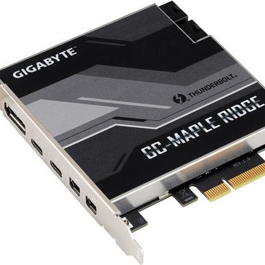 Gigabyte (rev. 1.0)