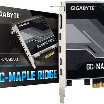 Gigabyte (rev. 1.0)
