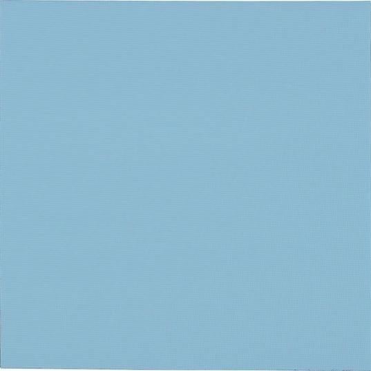 Thermal Grizzly Thermal Pad