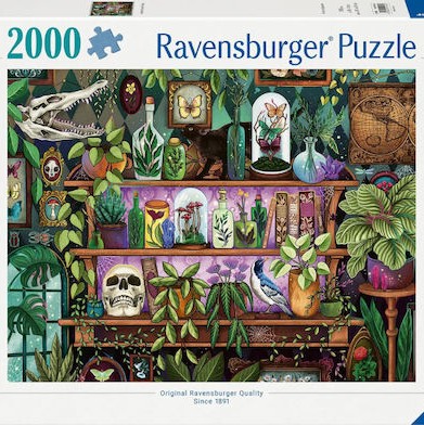 A Witch's Favorite Things Puzzle 2D 2000pcs