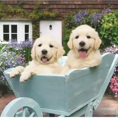 Παιδικό Puzzle 200pcs Ravensburger