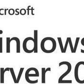 Microsoft Windows 2025 Standard Server 5 User Cals Multi-Language