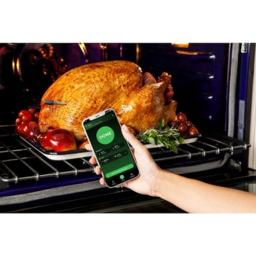 Ninja Ψηφιακό Θερμόμετρο Μαγειρικής με Ακίδα