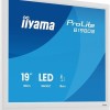 Iiyama B1980S-W1 TN Monitor 19