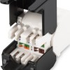 Digitus CAT6 keystone module