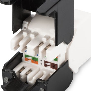Digitus CAT6 keystone module