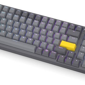 Endorfy Ασύρματο Gaming Πληκτρολόγιο με Gateron Yellow διακόπτες και RGB φωτισμό (Αγγλικό US) Γκρι