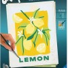 Ravensburger Creart Paint By Numbers Adults Lemons