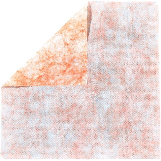 fischer Μαντηλάκια 100τμχ