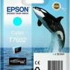 Epson T7602 Γνήσιο Μελάνι Εκτυπωτή InkJet Κυανό (C13T76024010)