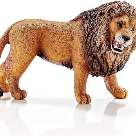 Schleich-S Παιχνίδι Μινιατούρα Wild Life Lion Roaring για 3+ Ετών 6.6εκ.
