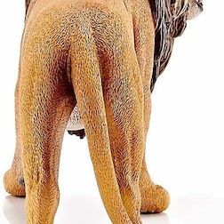 Schleich-S Παιχνίδι Μινιατούρα Wild Life Lion Roaring για 3+ Ετών 6.6εκ.