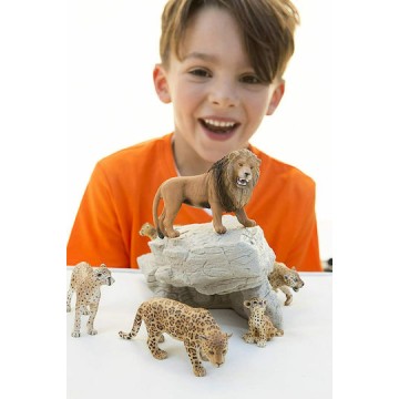 Schleich-S Παιχνίδι Μινιατούρα Wild Life Lion Roaring για 3+ Ετών 6.6εκ.