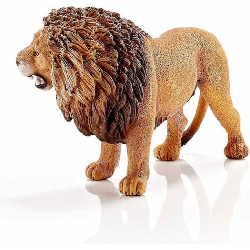 Schleich-S Παιχνίδι Μινιατούρα Wild Life Lion Roaring για 3+ Ετών 6.6εκ.