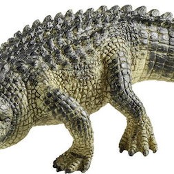 Schleich-S Παιχνίδι Μινιατούρα Wild Life Alligator για 3+ Ετών 3.7εκ.