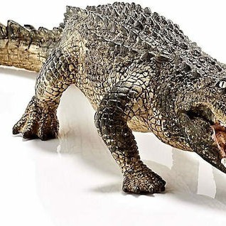 Schleich-S Παιχνίδι Μινιατούρα Wild Life Alligator για 3+ Ετών 3.7εκ.