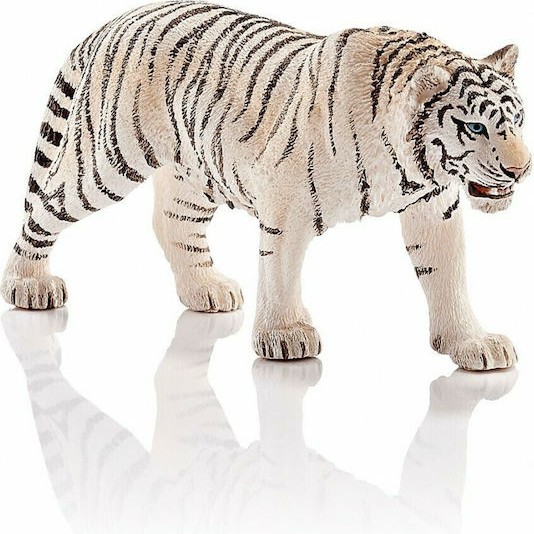 Schleich-S Παιχνίδι Μινιατούρα Wild Life White Tiger για 3+ Ετών 6εκ.