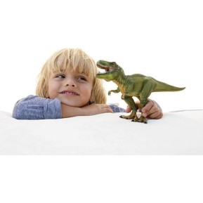 Schleich-S Παιχνίδι Μινιατούρα Tyrannosaurus Rex για 3+ Ετών 26εκ.