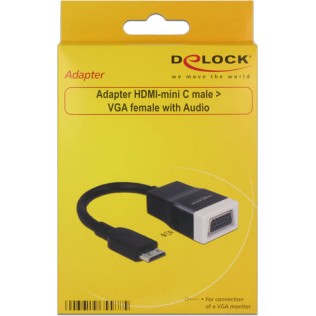 DeLock mini HDMI male - VGA female (65588)