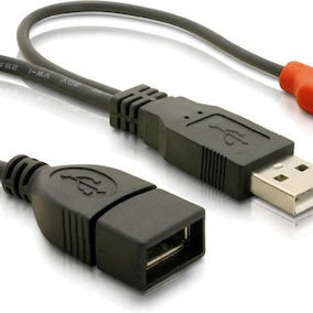 DeLock Μετατροπέας USB-A 2x male σε USB-A female (65306)