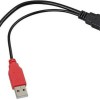 DeLock Μετατροπέας USB-A 2x male σε USB-A female (65306)