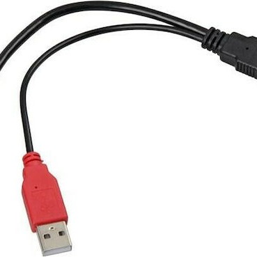 DeLock Μετατροπέας USB-A 2x male σε USB-A female (65306)