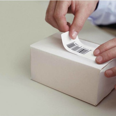 Dymo 11355 500 Αυτοκόλλητες Ετικέτες σε Ρολό για Εκτυπωτή Ετικετών 51x19mm