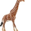 Schleich-S Παιχνίδι Μινιατούρα Wild Life Giraffe Male για 3+ Ετών 17εκ.