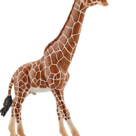 Schleich-S Παιχνίδι Μινιατούρα Wild Life Giraffe Male για 3+ Ετών 17εκ.